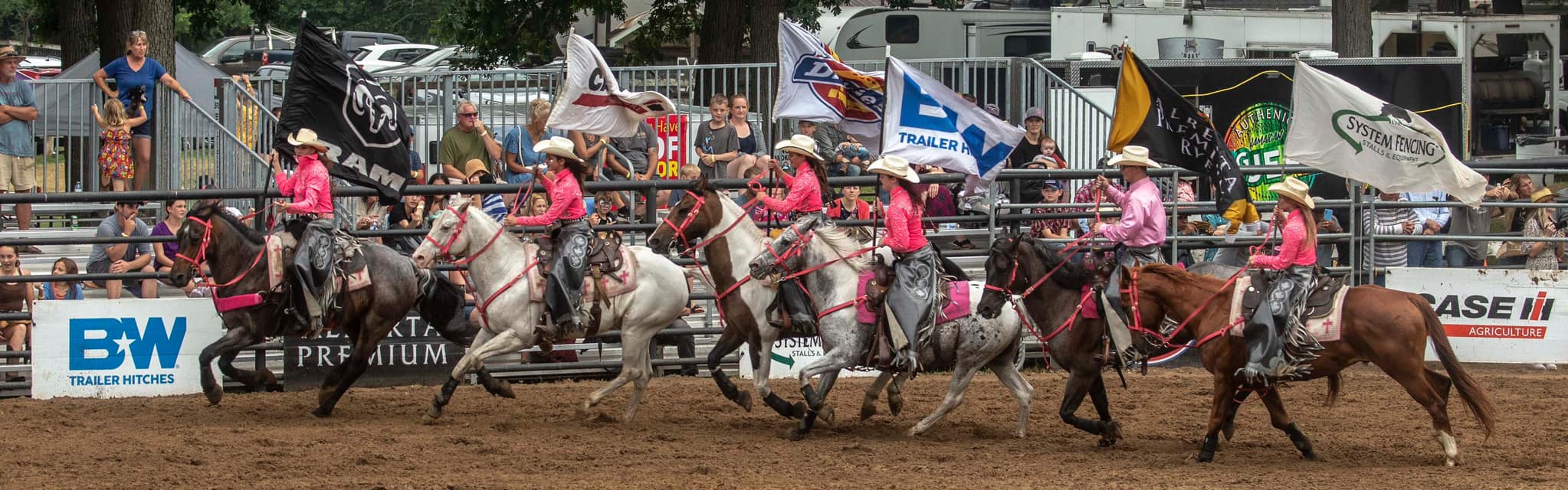 Grey Highlands Ram Rodeo