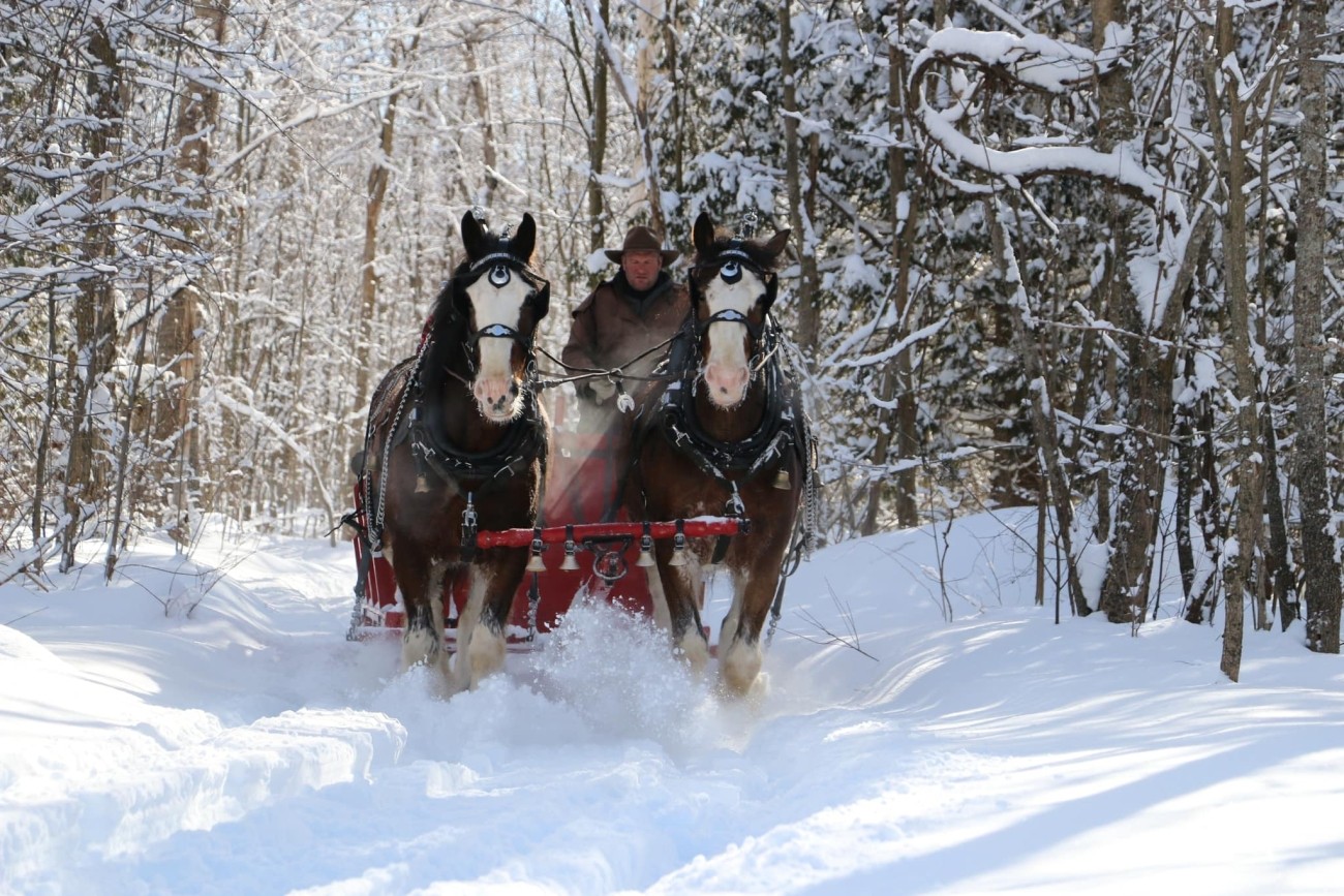 A person wears a cowboy hat while driving two horses through deep snow on a forest trail.
