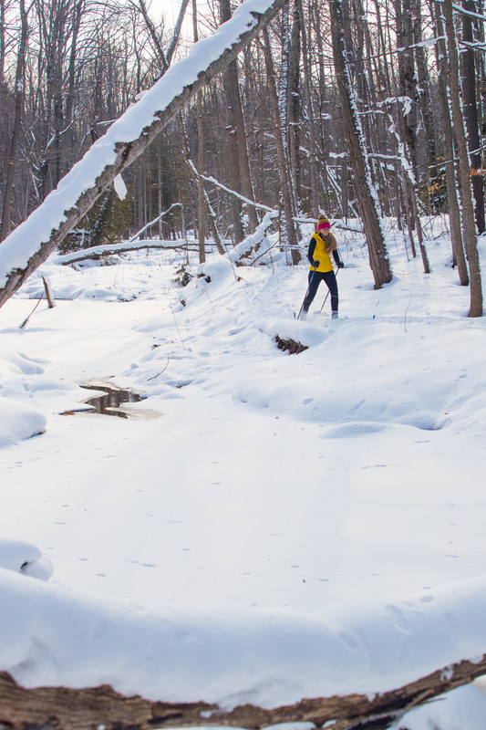 woman skiing through the forest