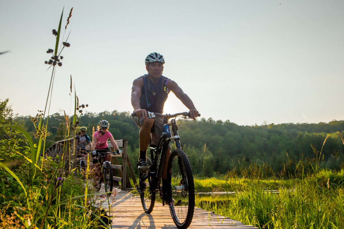 Two people cycling on a wooden boardwalk with long grass and trees around them 