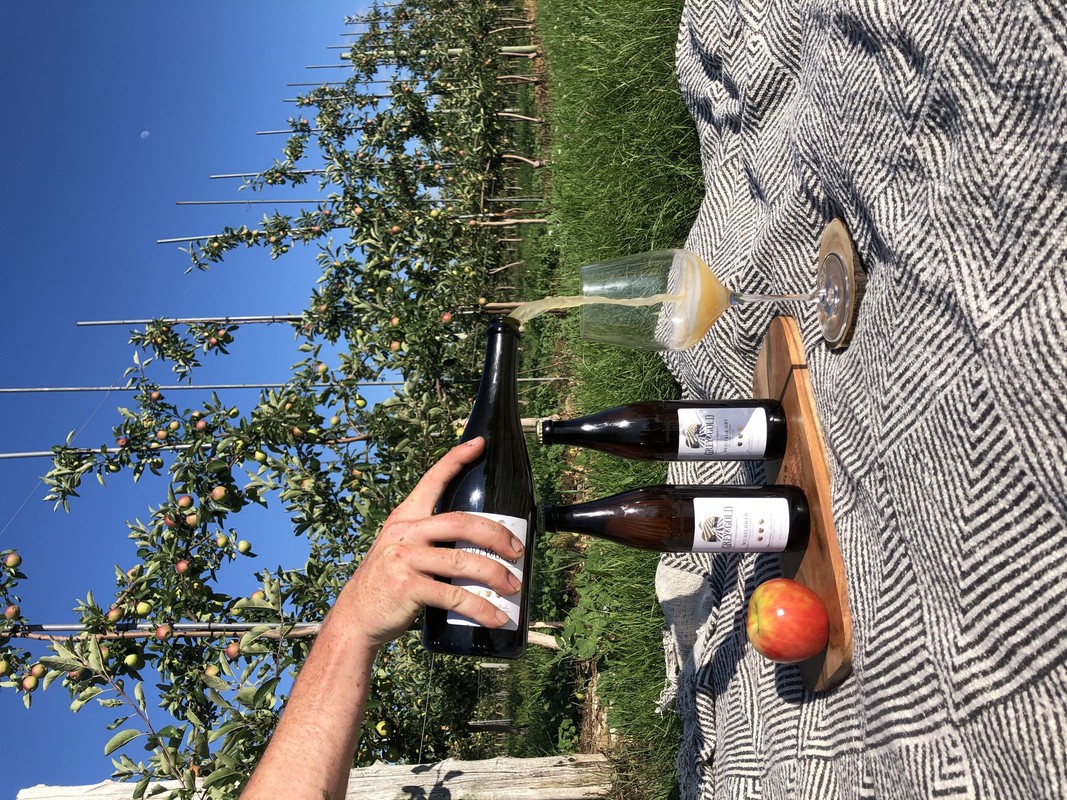 Image showing hand pouring wine from a bottle into a wine glass, alongside two more bottles and an apple, these items are on top of a blanket placed on the ground next to the vineyard 