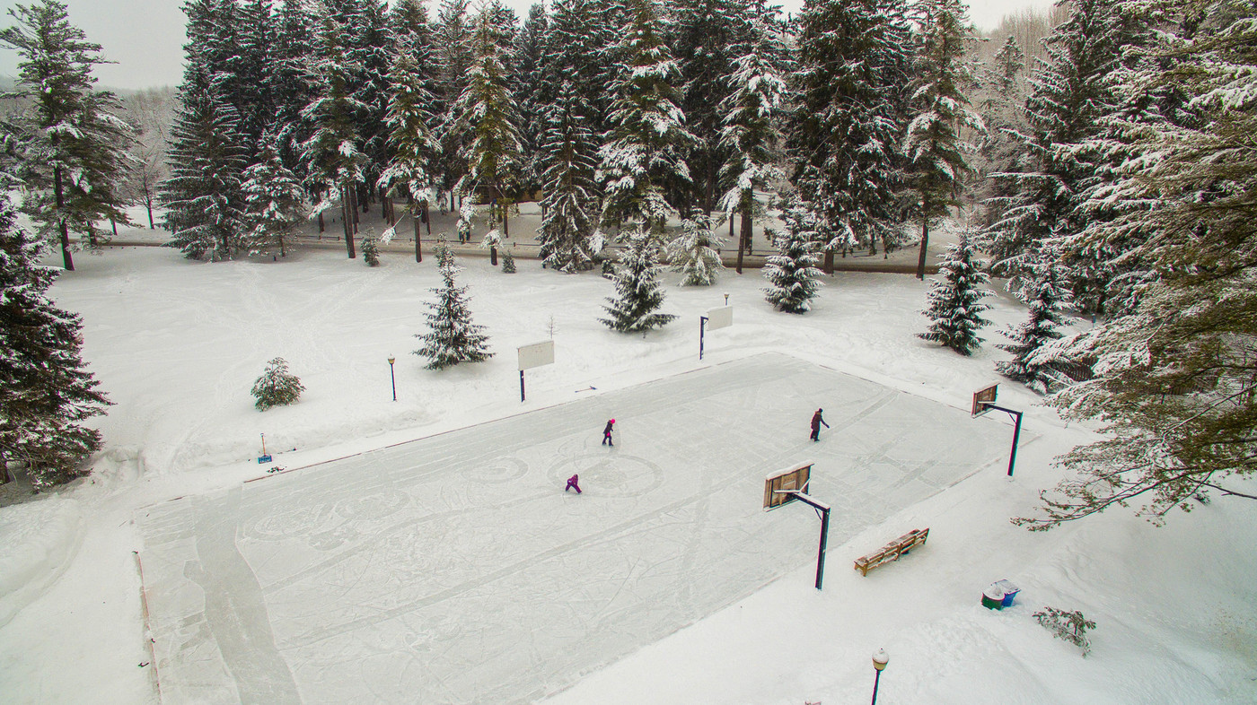 Drone shot of the harrison park ice rink