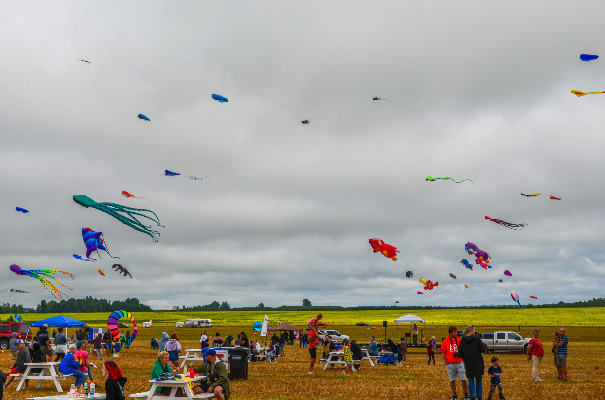 Numerous people flying kites on a cloudy day.