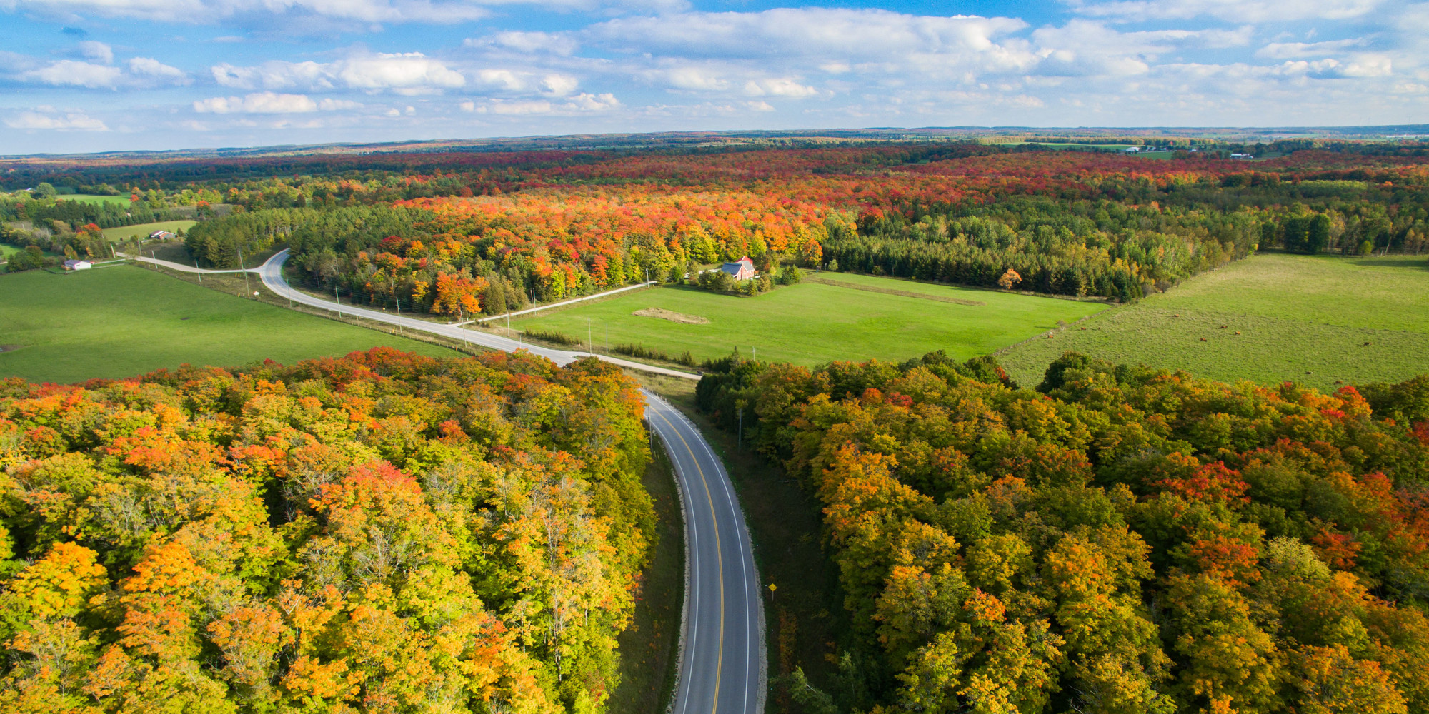 Aerial view of a winding road cutting through autumn-coloured forest and green farmland under a blue sky.