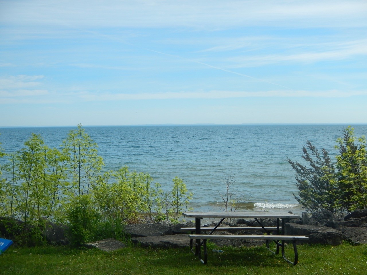 A beach with trees and a picnic table