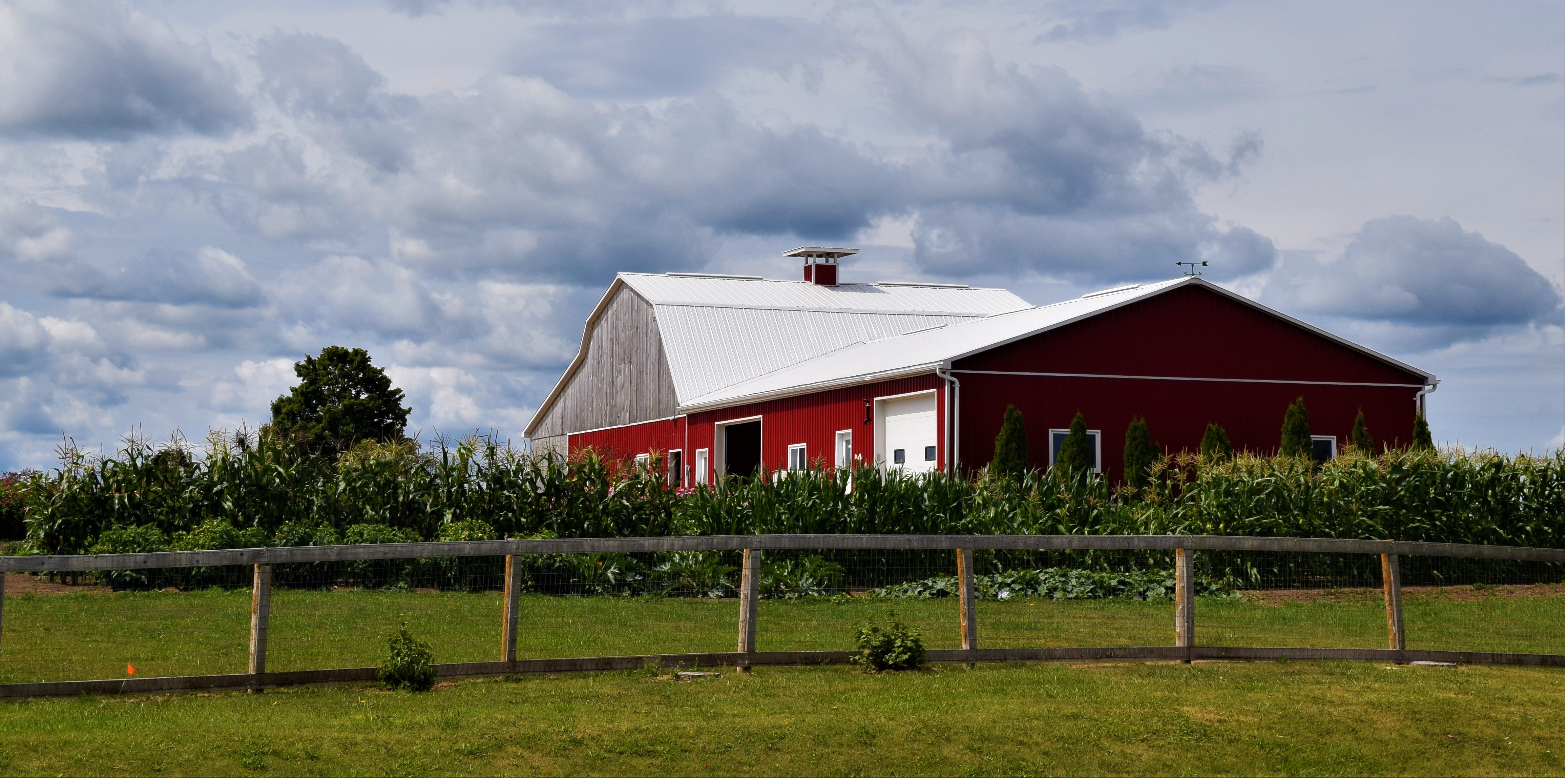 A fence runs along in front of a red barn.
