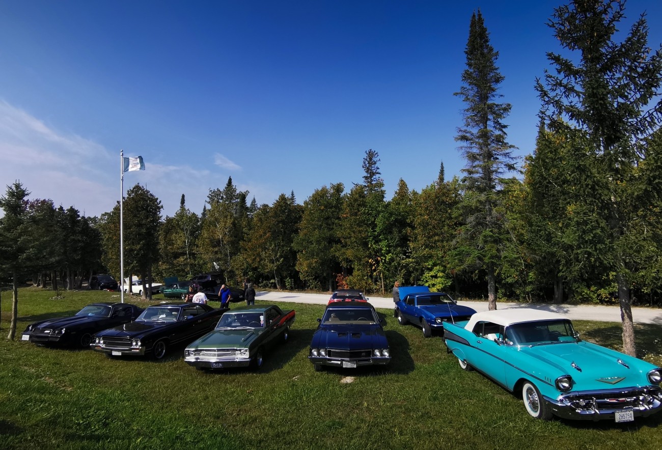 Classic muscle cars parked on grass in a rural setting.