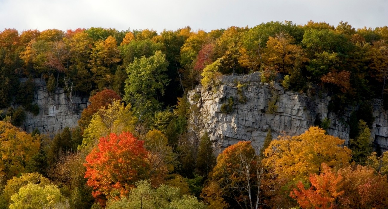 Fall picture of Old Baldy with bright colours and scenic views