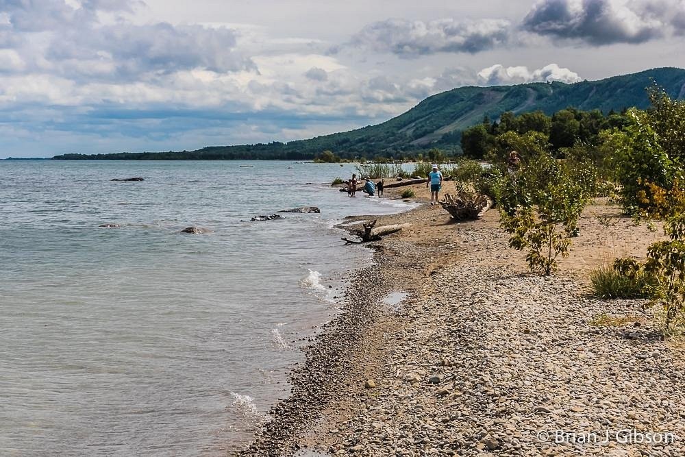 view of beach with trees and small mountain in the background