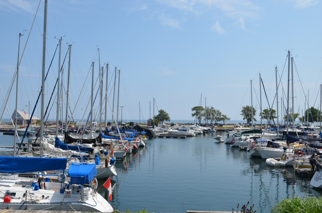 A view of boats in a marina.