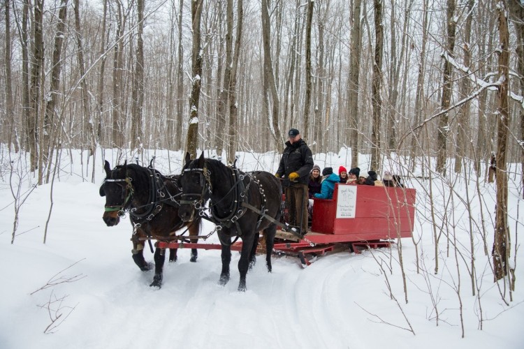 A red horse-drawn wagon being pulled through a snowy forest.