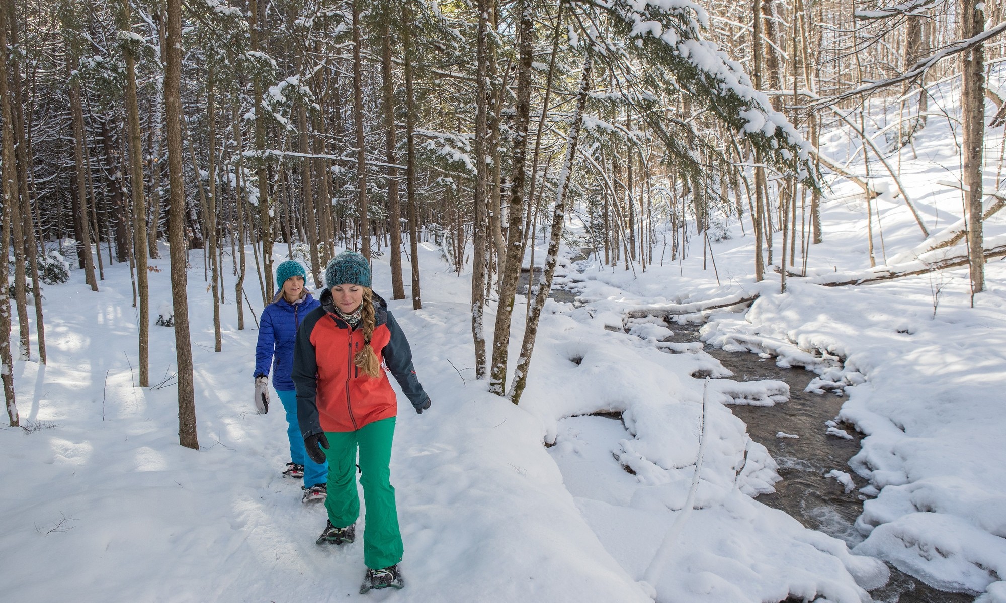 Two people snowshoeing beside a woodland river.