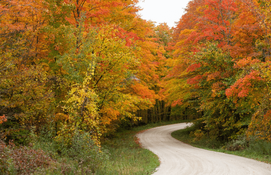 Winding gravel road and autumn trees.